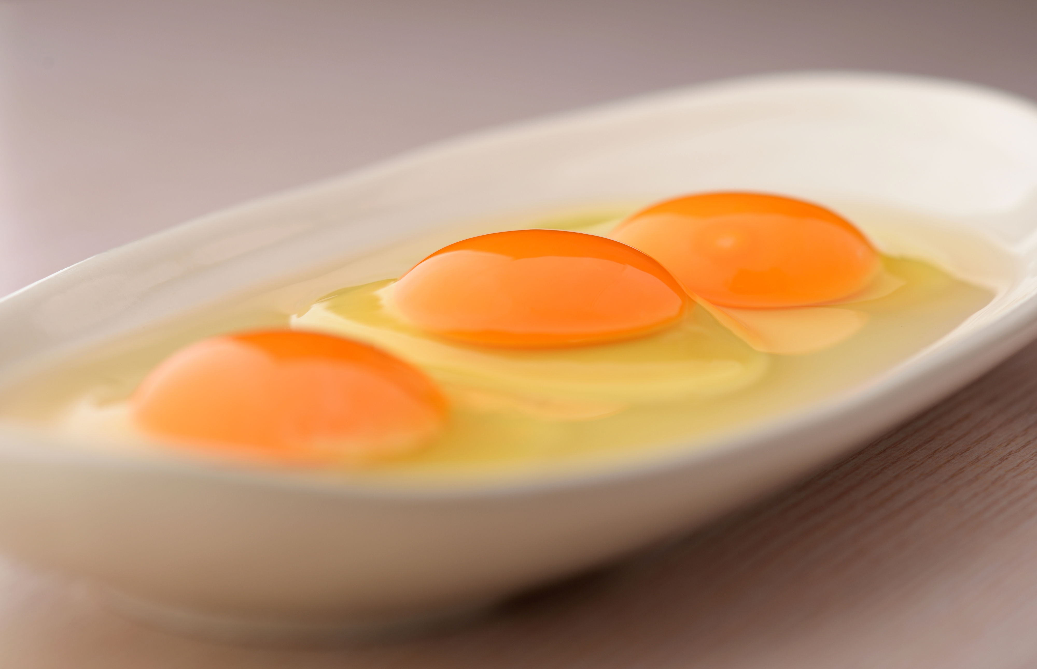 Egg
